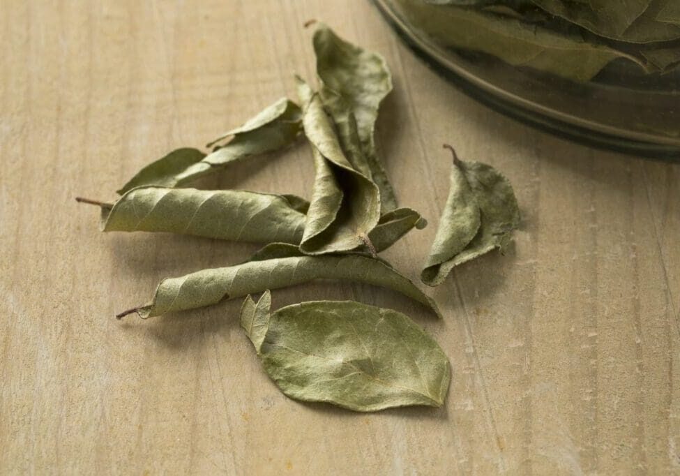 Dried curry leaves