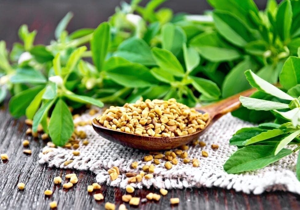 Fenugreek in spoon with leaves on board