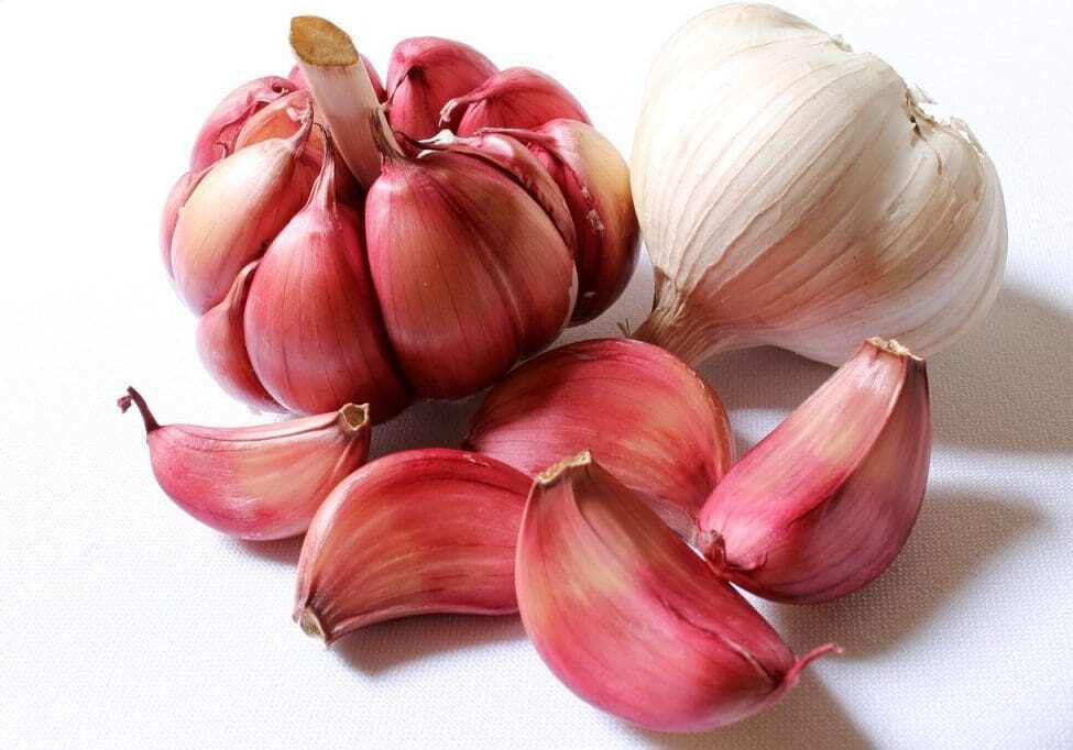garlic for curries