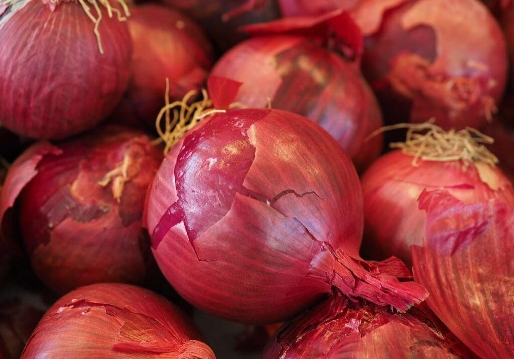 Onions for Curries