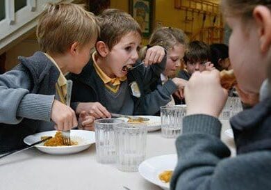 Image courtsey of www.whatsforschoollunch.blogspot.com
