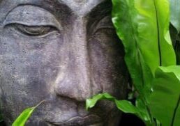 thai healing curry