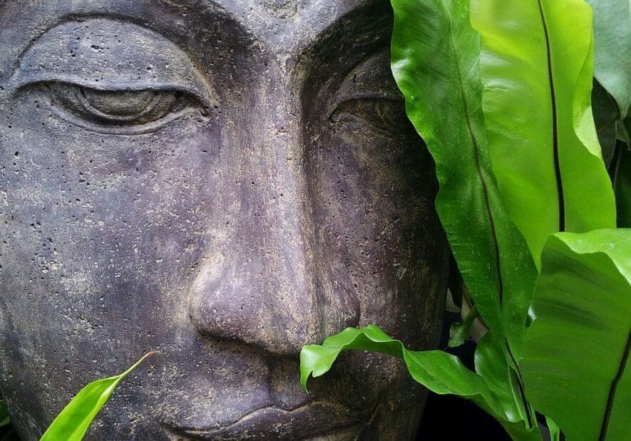 thai healing curry