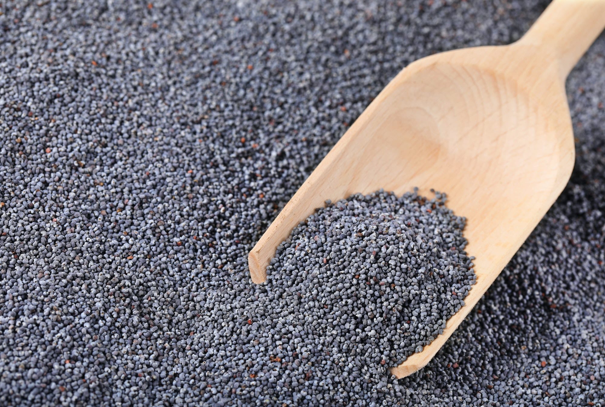 Poppy Seeds